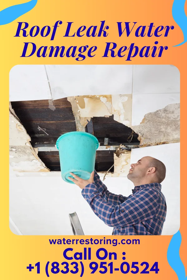 Roof Leak Water Damage Repair in Medaryville, IN
