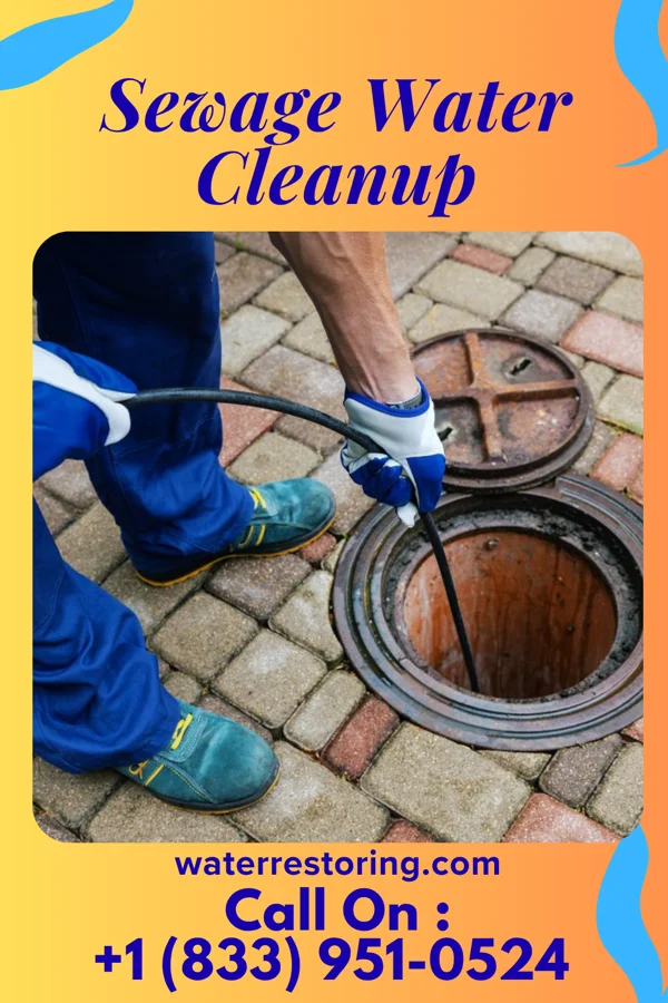 Sewage Water Cleanup in Medaryville, IN